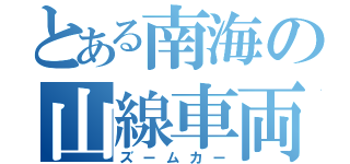 とある南海の山線車両（ズームカー）