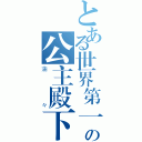 とある世界第一の公主殿下（蒲々）