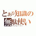 とある知識の無駄使い（マメシーバー）