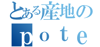 とある産地のｐｏｔｅｔｏ（）