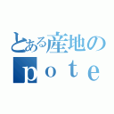 とある産地のｐｏｔｅｔｏ（）