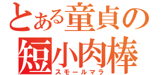 とある童貞の短小肉棒（スモールマラ）