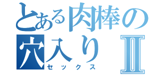 とある肉棒の穴入りⅡ（セックス）