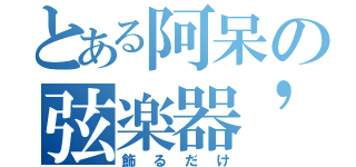 とある阿呆の弦楽器\'ｓ （飾るだけ）