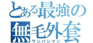 とある最強の無毛外套（ワンパンマン）