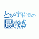 とある宇佐美の最高感（クライマックス）