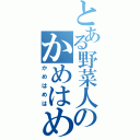 とある野菜人のかめはめ波（かめはめは）