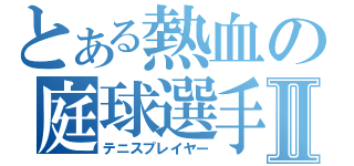 とある熱血の庭球選手Ⅱ（テニスプレイヤー）