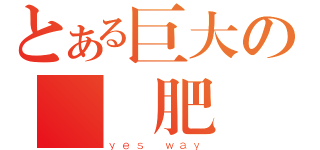 とある巨大の無敵肥豬（ｙｅｓ ｗａｙ）