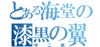 とある海堂の漆黒の翼（中二病）