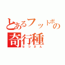 とあるフットボルテの奇行種（なつさん）