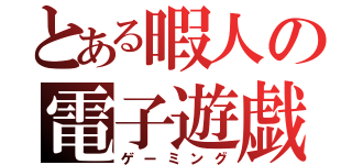 とある暇人の電子遊戯（ゲーミング）