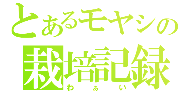 とあるモヤシの栽培記録（わぁい）