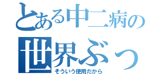 とある中二病の世界ぶっ壊す宣言（そういう使用だから）