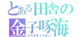 とある田舎の金子啄海（シラスキャリオン）