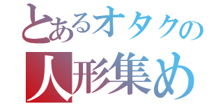 とあるオタクの人形集め（）