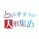 とあるオタクの人形集め（）