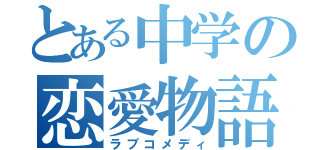 とある中学の恋愛物語（ラブコメディ）