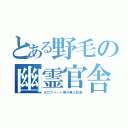 とある野毛の幽霊官舎（ボロアパート群が無人放置）