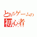 とあるゲームの初心者（チートバグ）