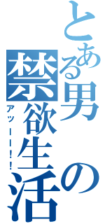 とある男の禁欲生活Ⅱ（アッーー！！）