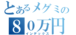 とあるメグミの８０万円支援（インデックス）