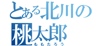 とある北川の桃太郎（ももたろう）