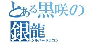 とある黒咲の銀龍（シルバードラゴン）