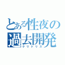 とある性夜の過去開発（クリトリス）