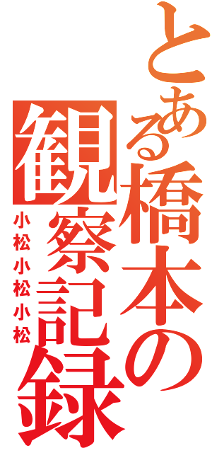 とある橋本の観察記録（小松小松小松）