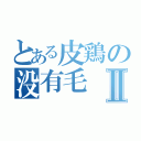 とある皮鶏の没有毛Ⅱ（）