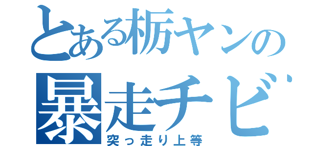 とある栃ヤンの暴走チビ（突っ走り上等）