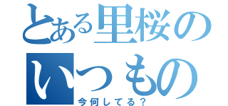 とある里桜のいつもの質問（今何してる？）