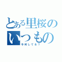 とある里桜のいつもの質問（今何してる？）