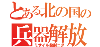 とある北の国の兵器解放（ミサイル発射ニダ）