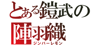 とある鎧武の陣羽織（ジンバーレモン）