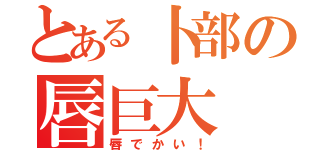 とある卜部の唇巨大（唇でかい！）