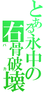 とある永中の右骨破壊（バカ）