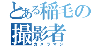 とある稲毛の撮影者（カメラマン）