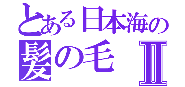 とある日本海の髪の毛Ⅱ（）