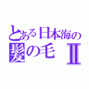 とある日本海の髪の毛Ⅱ（）