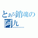 とある銷魂の阿九（ｙｏｏｏｏｏｏｏ）