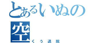 とあるいぬの空（くう退院）