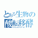 とある生物の酸転移酵素（トランスアミナーぜ）