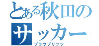 とある秋田のサッカーチーム（ブラウブリッツ）