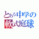 とある中学の軟式庭球魂（）