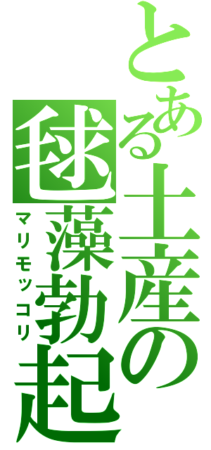 とある土産の毬藻勃起（マリモッコリ）