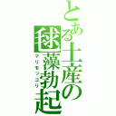 とある土産の毬藻勃起（マリモッコリ）