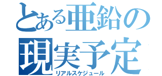 とある亜鉛の現実予定（リアルスケジュール）