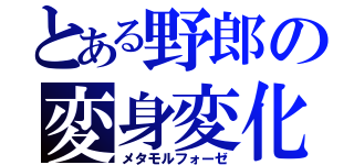 とある野郎の変身変化（メタモルフォーゼ）